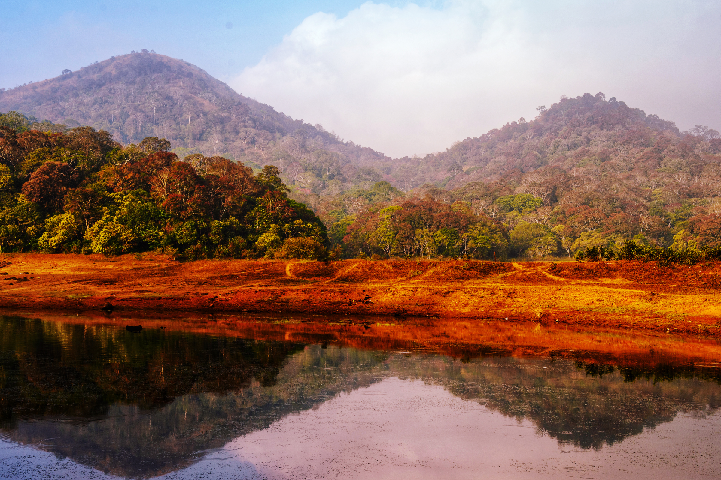 thekkady (4).webp
